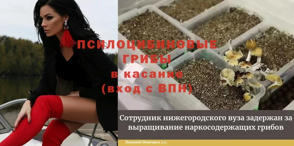 соль курить ск Абаза